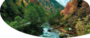 rize-ayder-yaylası-gezisi-overview