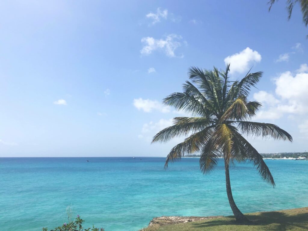 miami beach barbados