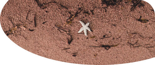 Balıkesir-ayvalık-altın-kumsal-tatil-plaj-overview