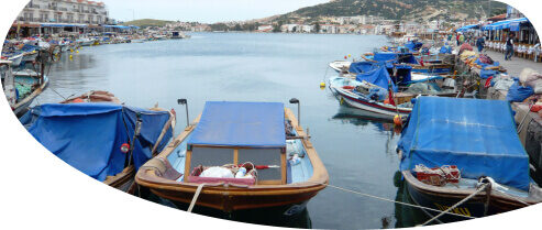 izmir-foça-overview