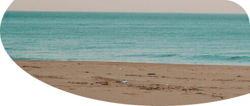 istanbul-ağva-overview