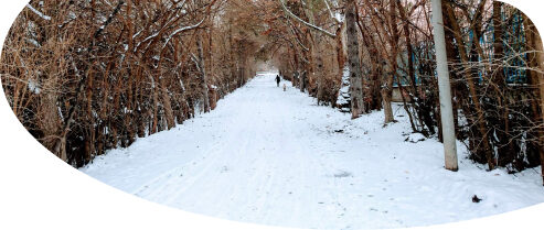 van-abalı-kayak-merkezi-tatil-overview
