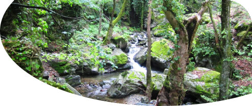 balıkesir-kaz-dağları-gezisi-overview