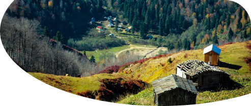 artvin-borçka-karagöl-tabiat-parkı-overview