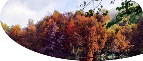 bolu-yedigöller-tabiat-parkı-tatil-overview