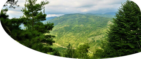 karabük-yenice-ormanları-gezisi-overview