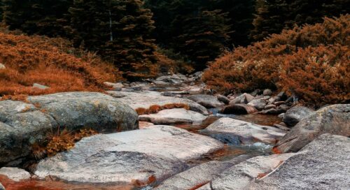 bursa uludağ milli park gezilecek yerler