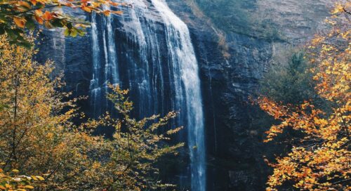 Rich results on Google's SERP when searching for 