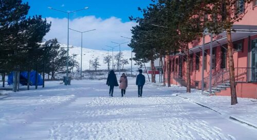 Erzurum'da kış