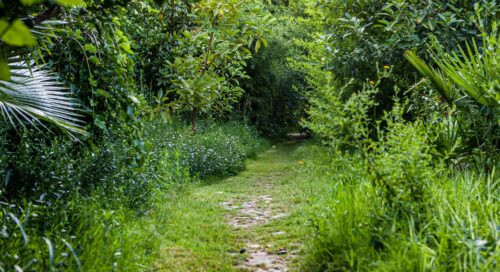 olimpos antik kent yolu