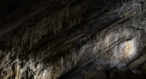 alanya damlataş mağarası nerededir