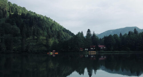 artvin borçka milli parkı