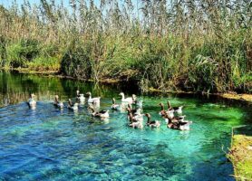 akyakada azmak nehri