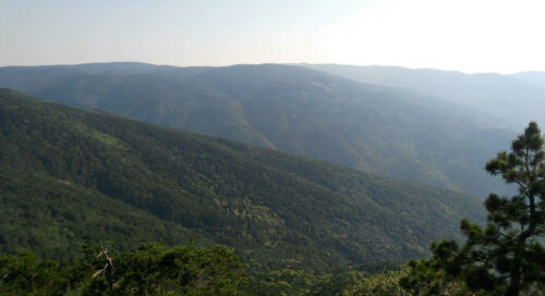 kaz dağlarında tatil