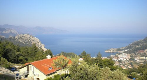 turunç genel görünüm