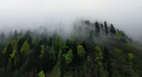 ayder yaylası bungalov