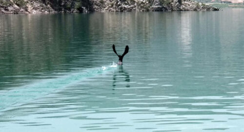 arapapıştı kanyonu doğal güzellikler