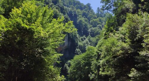 karasuda ne yapılır