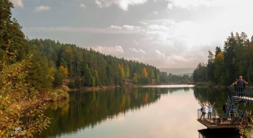 Bozcaarmut Göleti gezilecek yerler