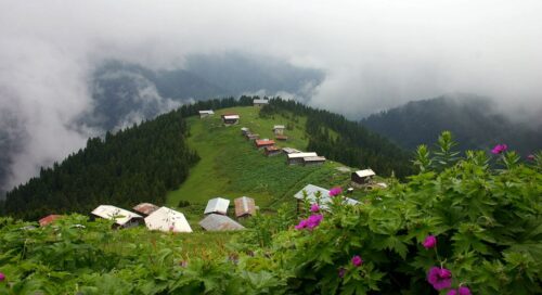 rize pokut yaylası yol haritası