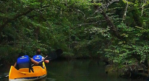 İğneada Longozuna nasıl gidilir