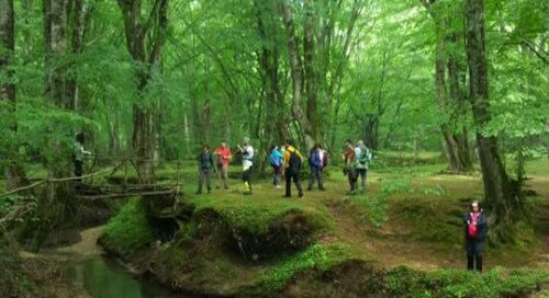 İğneada Longozu nerede