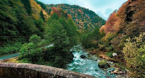 Rize ayder yaylası