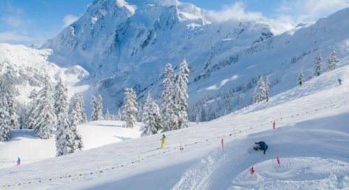 ergan kayak merkezi nerede