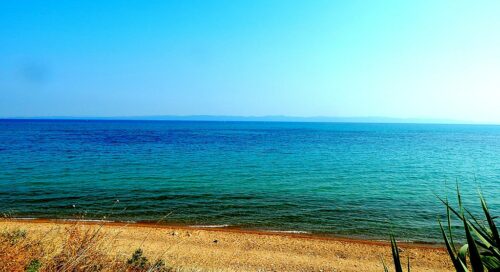 eriklide ne yapılır