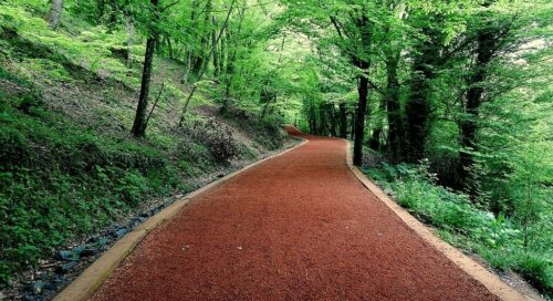 belgrad ormanı nerede