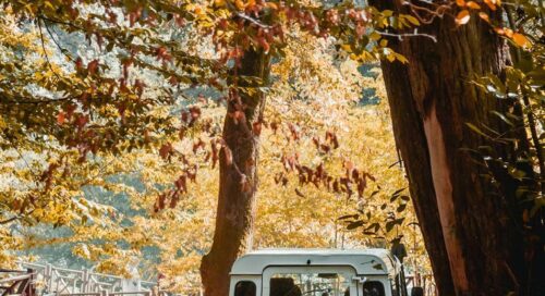 belgrad ormanına nasıl gidilir