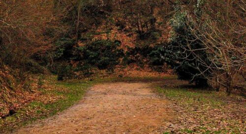 yuvacıkta ne yapılır