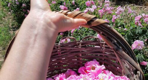 Ispartada gezilecek yerler