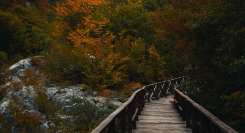 küre dağları milli parkına nasıl gidilir