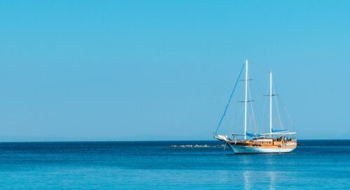 Bitezde ne yapılır