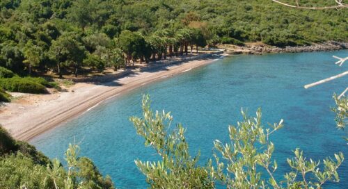 datça palamutbükü