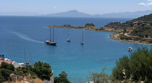 palamutbükü akvaryum koyu