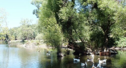 Karagöl Tabiat Parkı nerede