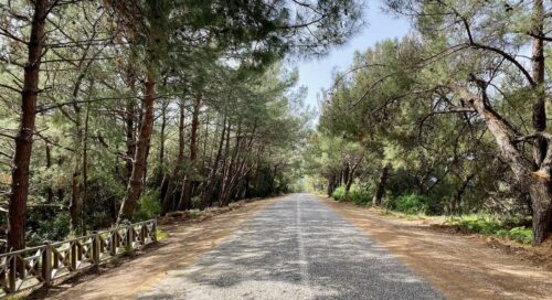 dilek yarımadası nerede