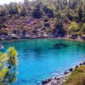 bodrum-kissebuku-koyu