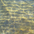 dalyan-iztuzu-plaji