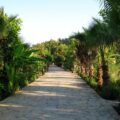 olimpos-tekirova-ekolojik-dogal-park