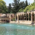 sanliurfa-balikli-gol
