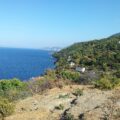 yalova-armutlu-plaji